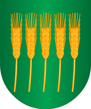 ESCUDO ALEATORIO